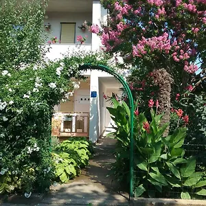 apartment-mirjana-fazana.in-istria.net/